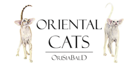 Oriental Cats